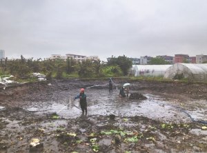 湾里河道鱼塘清淤